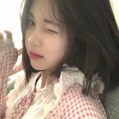 雁南飞